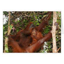 Safe in Mommy's Lap Greeting Cards