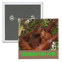 Safe in Mommy's Orangutan Lap Pinback Buttons