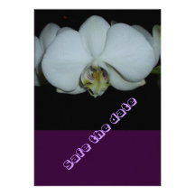 safe the date-  weisse Orchideenblüte Einladungen
