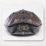 Safe Under Shell mousepads