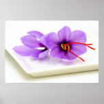Saffron Flower Closeup Print