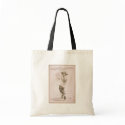 Sag Harbour, 'Jas.A.Herne's' Retro Theatre bags