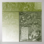 Sage Olive Tree Posters