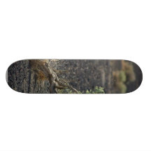 Sagebrush Desert Skateboard Decks
