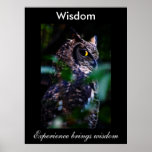 Sagesse Affiches