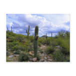 Saguaro <Add Your Own Text> Post Cards