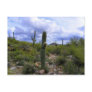 Saguaro <Add Your Own Text> Post Cards