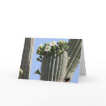 Saguaro Blooms Greeting Card