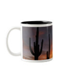 saguaro cacti, Carnegiea gigantea, after Coffee Mugs