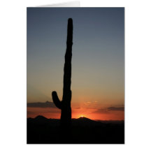 Saguaro Cactus at Sunset Greeting Cards