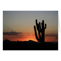 Saguaro Cactus at Sunset Greeting Cards