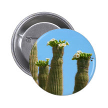 Saguaro Cactus Blossoms Pinback Button