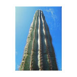 Saguaro Cactus Gallery Wrapped Canvas