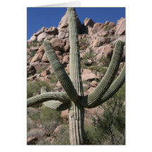 Saguaro Cactus Notecard