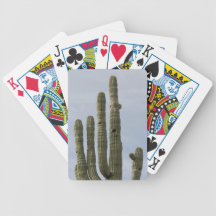 Saguaro Cactus of the Sonoran Desert Card Deck