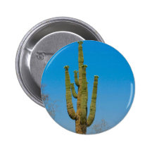 Saguaro Cactus Pin