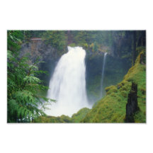 Sahalie Falls in Oregon Photo