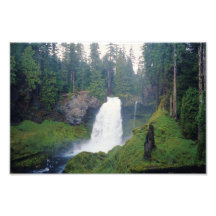 Sahalie Falls, Oregon Photo Print