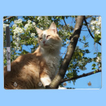 Sahara Cat In a Tree Dry Erase Board dry erase boards