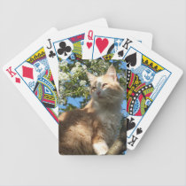 Sahara Cat in a Tree Playing Cards playing cards