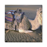 Sahara Desert near Merzouga, Morocco Magnets