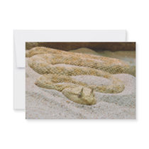 Saharan Horned Desert Viper Cerastes cerastes Personalized Invitation