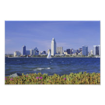 Sailboat on San Diego Bay Photo Print