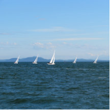 Sailboat Races Photo Sculptures