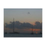 Sailboats in Sunset Postcard
