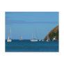 Sailboats in the Bay Postcard
