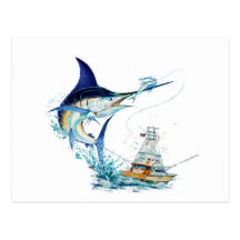 Sailfish Takes the Bait Post Card