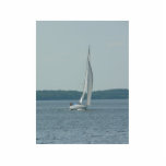 Sailing Boat Photo Sculptures