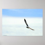 Sailing - Customized Print