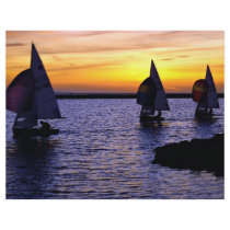 Sailing Flyer