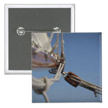 Sailing Jib Button