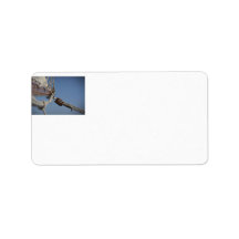 Sailing Jib Personalized Address Labels