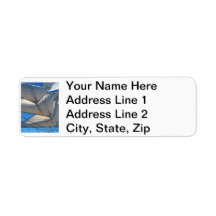 Sailing Ship Sails Address Labels