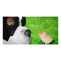 Saint Bernard and Baby Chick Photo Cards