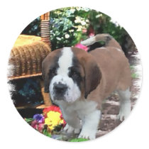 Saint Bernard Art Gifts Round Sticker