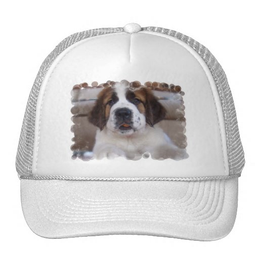 Saint Bernard Baseball Hat