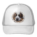 Saint Bernard Dog Baseball Hat