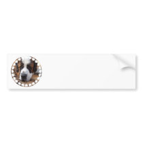 Saint Bernard Dog Bumper Sticker