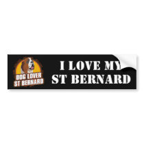 Saint Bernard Dog Lover