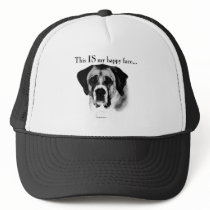 Saint Bernard Happy Face