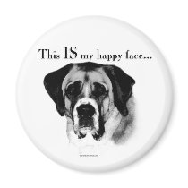 Saint Bernard Happy Face