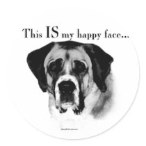 Saint Bernard Happy Face