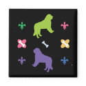 Saint Bernard magnets