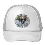 Saint Bernard Photo Baseball Hat