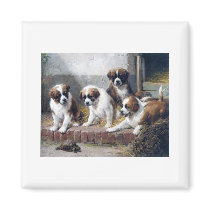 Saint Bernard puppies turtle cute painting dogs Magnets