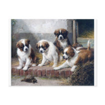 Saint Bernard puppies turtle cute painting dogs Postcard